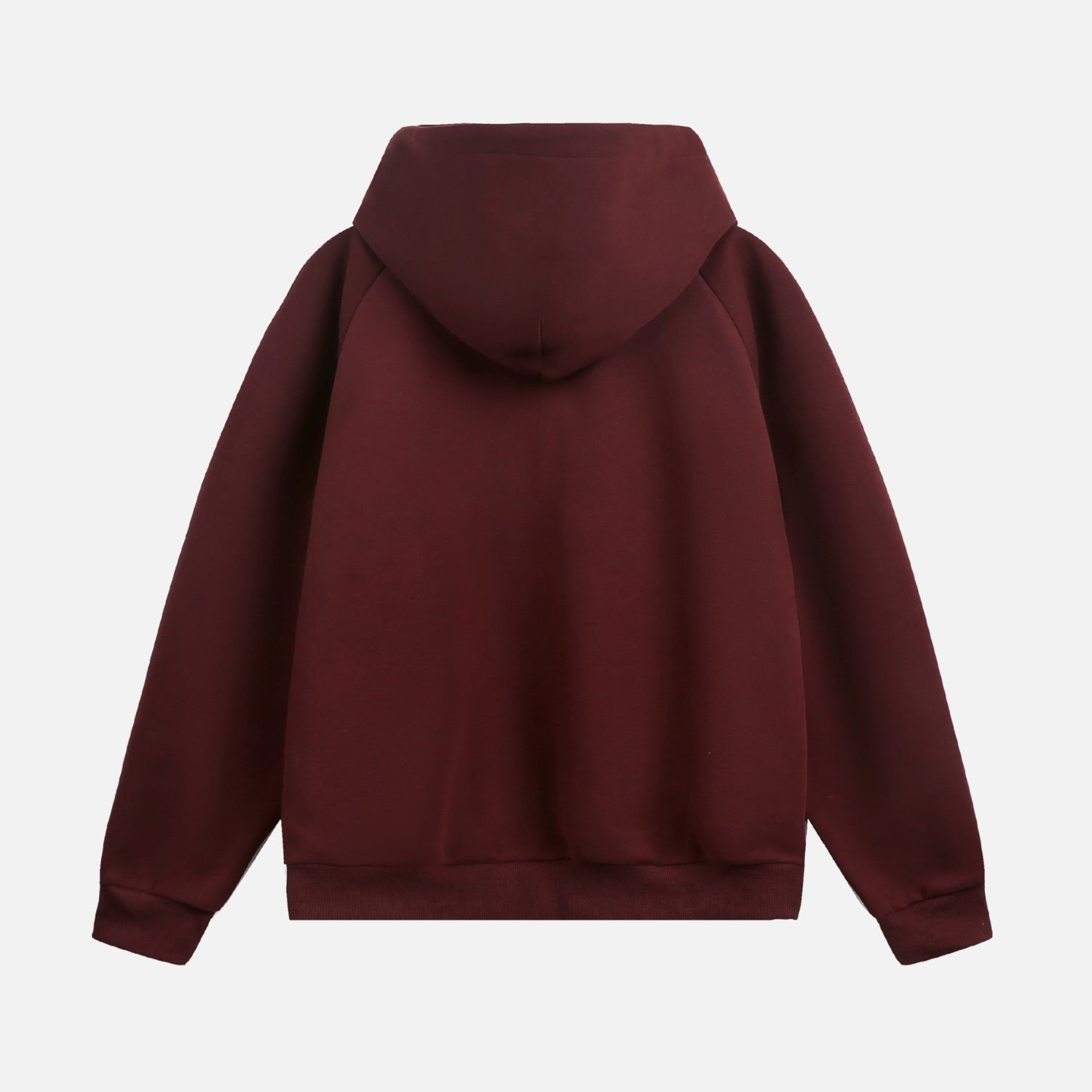 Structured Paneled Hooded Sweatshirt