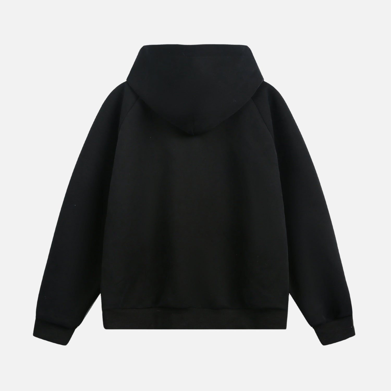 Structured Paneled Hooded Sweatshirt