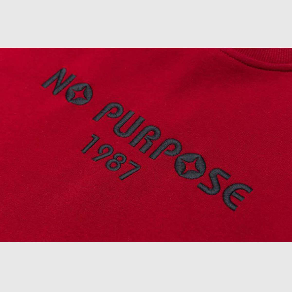 Farbblock-Sweatshirt „NO PURPOSE“