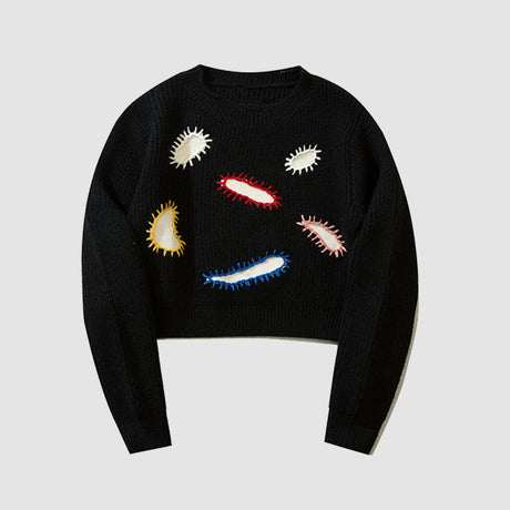 Paramecium Pattern Embroidery Cropped Sweater