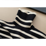 Striped Turtleneck Knit Sweater